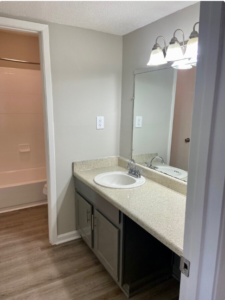 Palm Ilse Apartment Interior Master Bathroom with Sink View