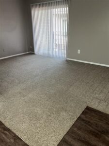 Spacious apartment living room at Trailwood Village in Kingwood, TX, featuring plush carpeting, rich two-toned paint, and a sliding glass door leading to a private balcony.